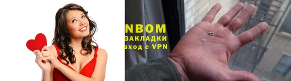 стафф Алзамай