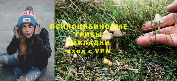стафф Абаза