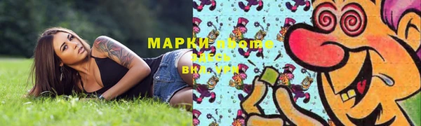 стафф Алзамай