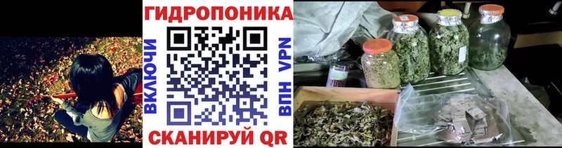 OMG ONION  Изобильный  Шишки марихуана ГИДРОПОН  цена  
